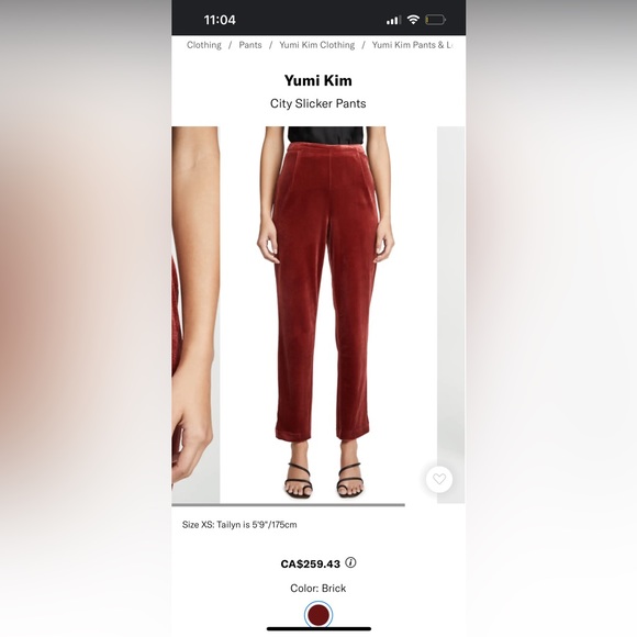 Yumi Kim. City Slicker Velvet Pants. Brick Velour. Medium - Picture 2 of 15